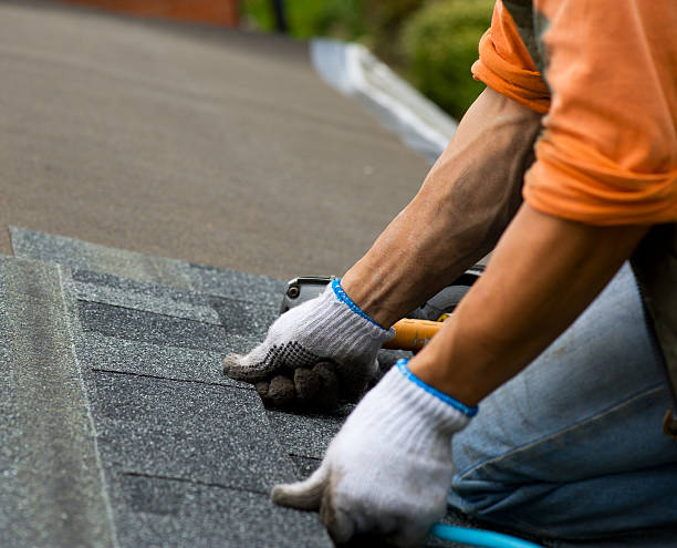 Best Roof Gutter Cleaning  in Castle Pines, CO